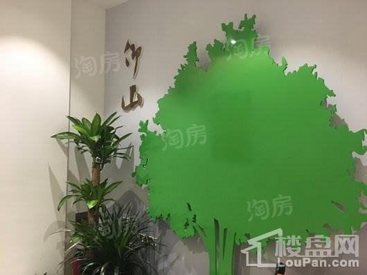 远洋仰山实景图