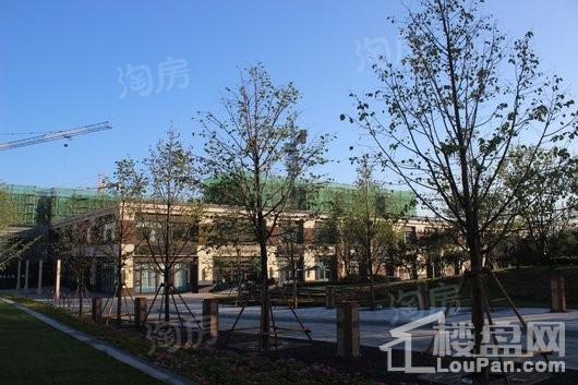 远洋仰山实景图