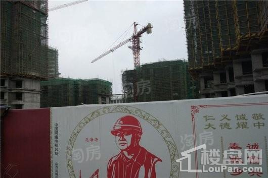 鑫苑德润珺园实景图