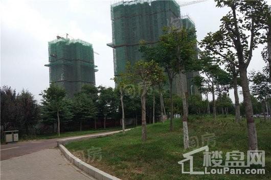 鑫苑德润珺园实景图