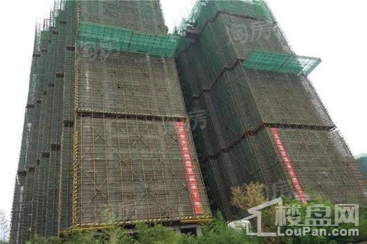 鑫苑德润珺园实景图