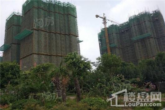 鑫苑德润珺园实景图