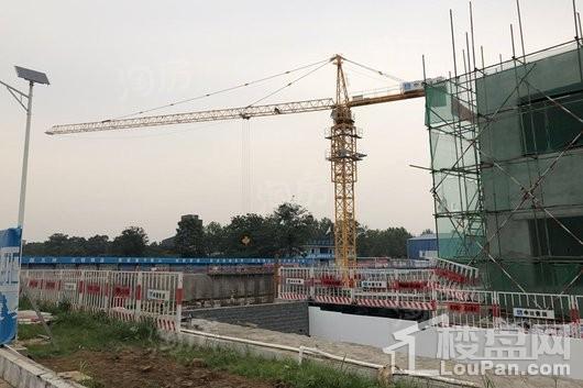 国控·云庭实景图