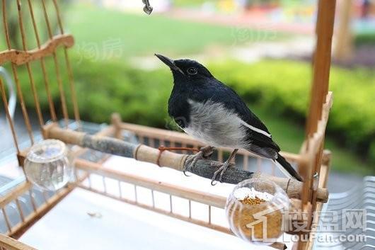 中南江山美宸实景图