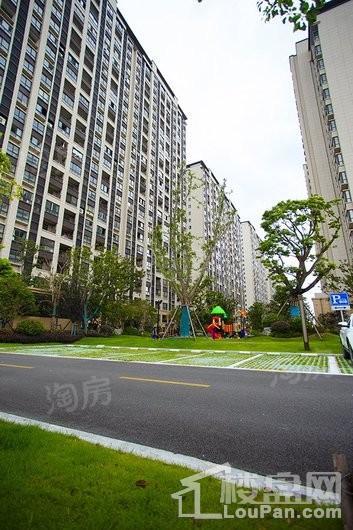 天和尚海庭前实景图