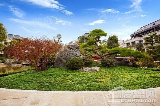 天和尚海庭前实景图
