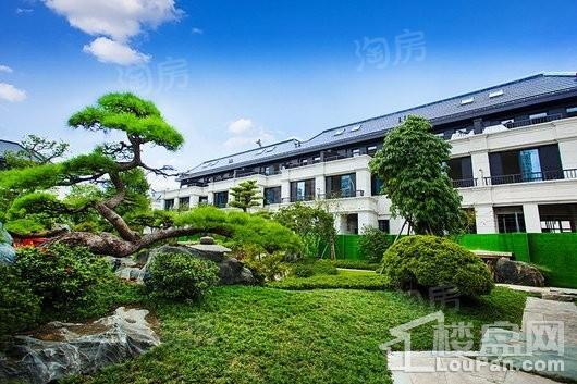 天和尚海庭前实景图