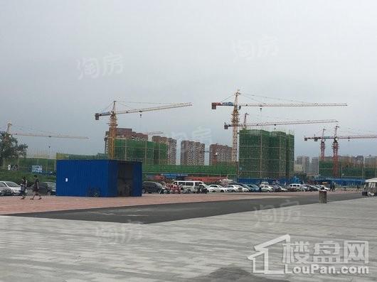 实景图