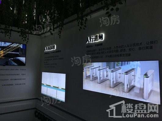 碧桂园公园印象实景图