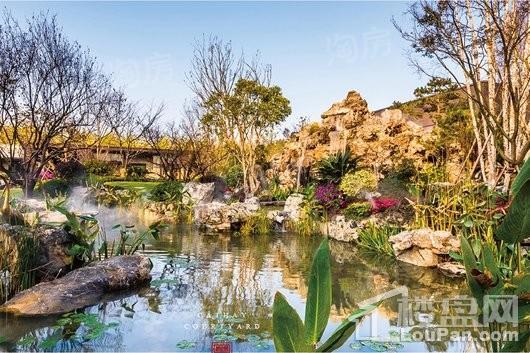 实景图