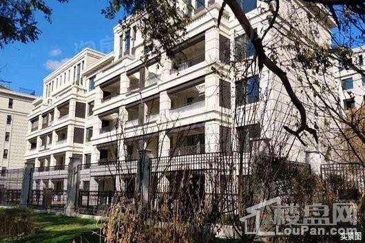 金地悦城大境实景图