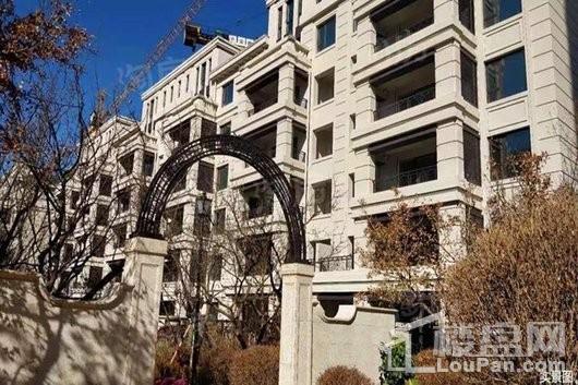 金地悦城大境实景图