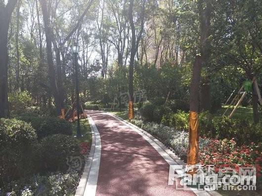 金地悦城大境配套图