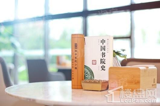 金科博翠书院小镇实景图