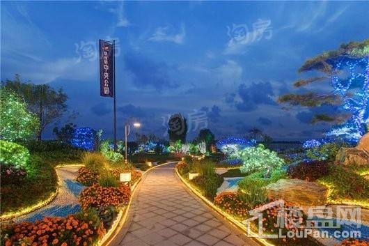 碧桂园中央公园实景图