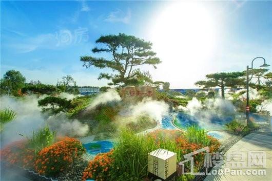 碧桂园中央公园实景图
