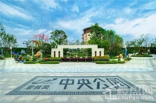 碧桂园中央公园实景图