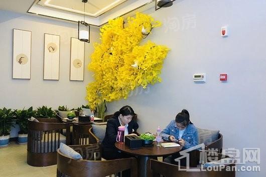 实景图