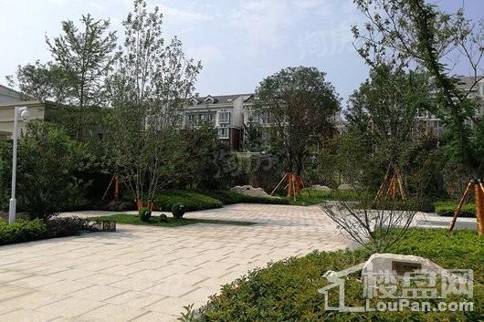 汇泉景悦城实景图