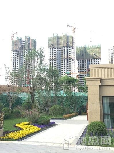 亿博隆河谷实景图