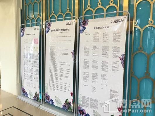 亿博隆河谷实景图