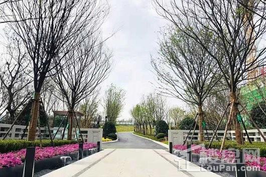 城南正荣府实景图