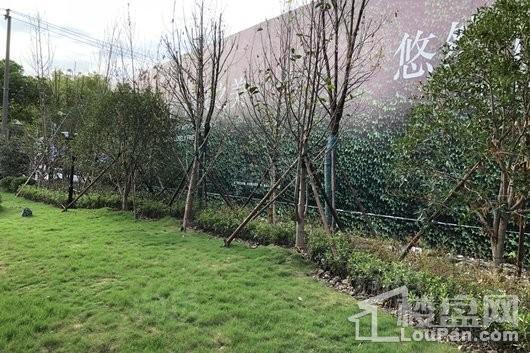 文通拾里间实景图