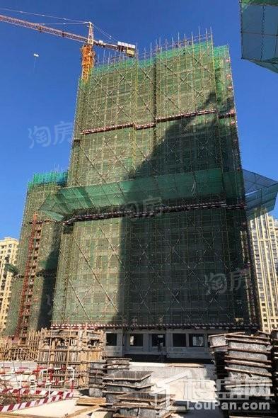 香橙实景图