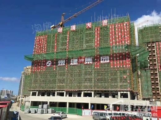 香橙实景图