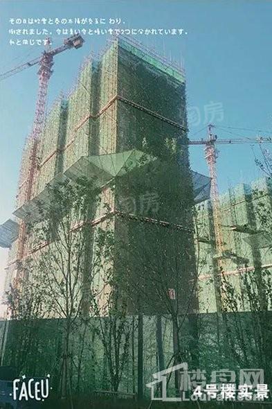 佰和锦园实景图