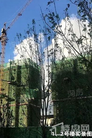 佰和锦园实景图