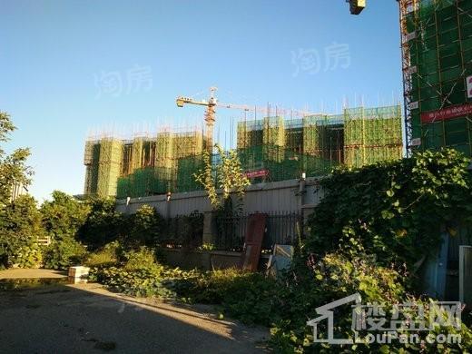 佰和锦园实景图