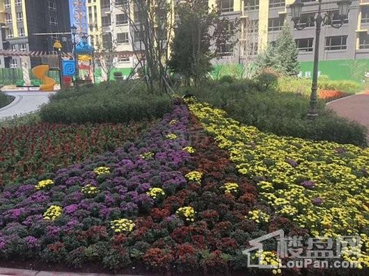 华方状元府实景图