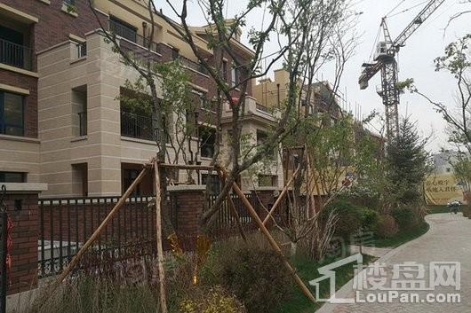 国信南湖别墅实景图