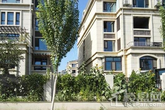 国盛南域枫景实景图