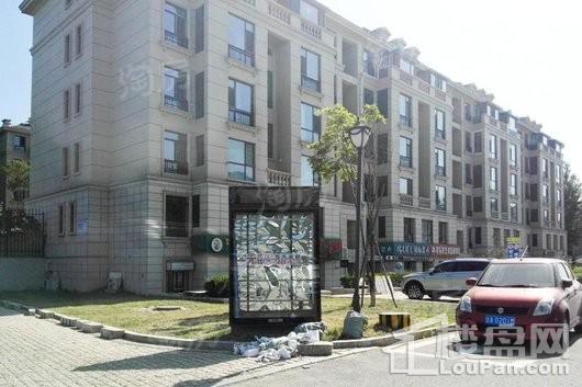 绿地中央墅实景图