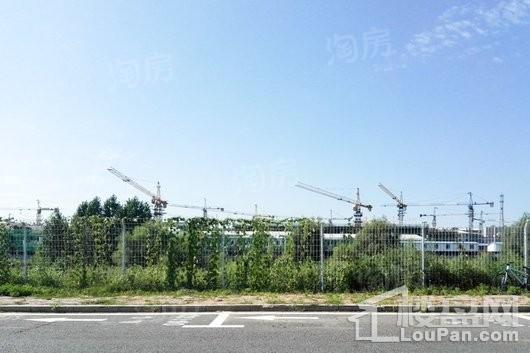 绿地中央墅实景图