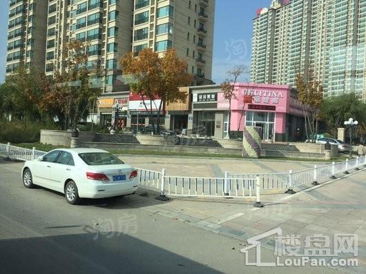 绿地中央墅配套图