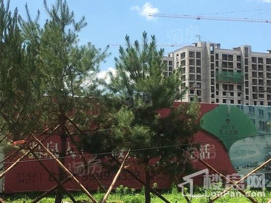 绿地城实景图