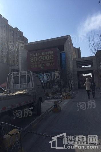 华大城实景图
