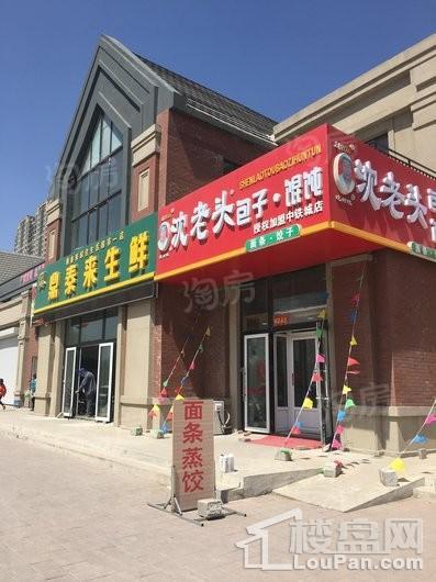 中铁城配套图