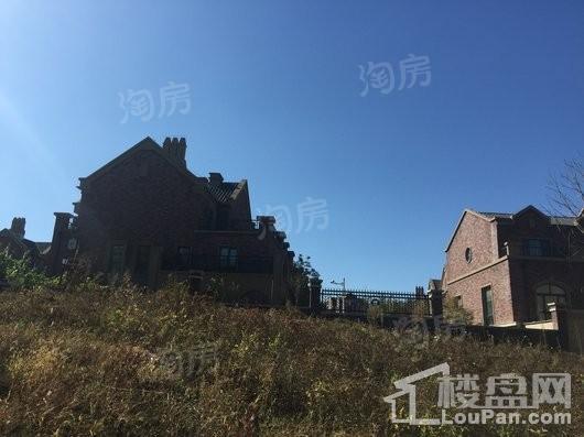 晟鑫康诗丹郡实景图