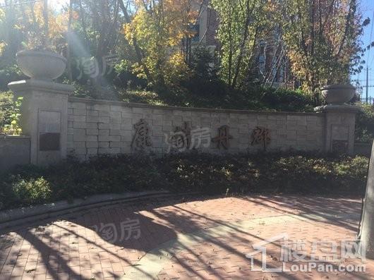 晟鑫康诗丹郡实景图