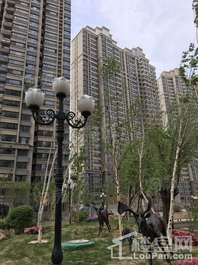 实景图