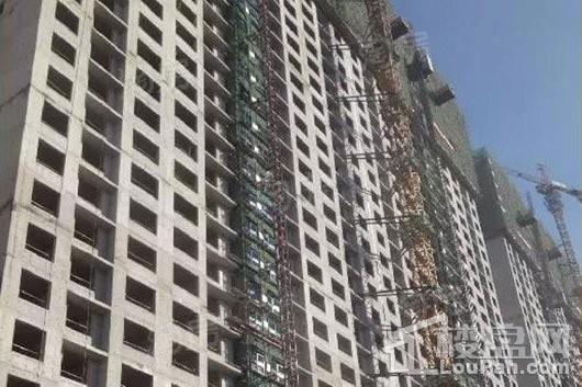 中海龙玺实景图