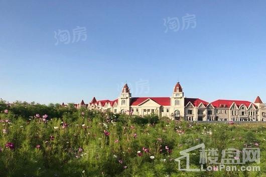 普鲁斯小镇实景图