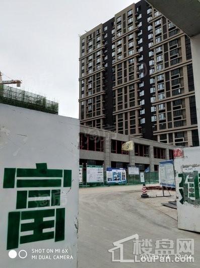 保利金香槟实景图