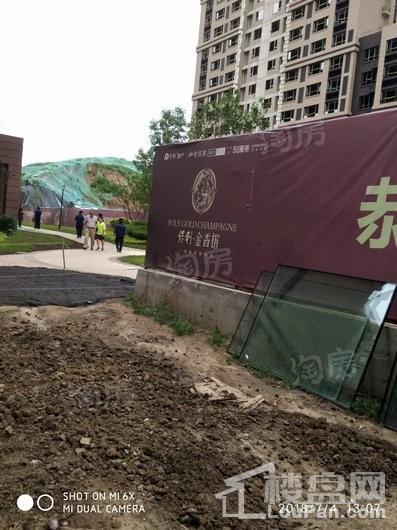 保利金香槟实景图