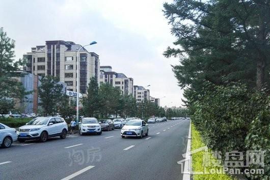 万科柏翠园实景图