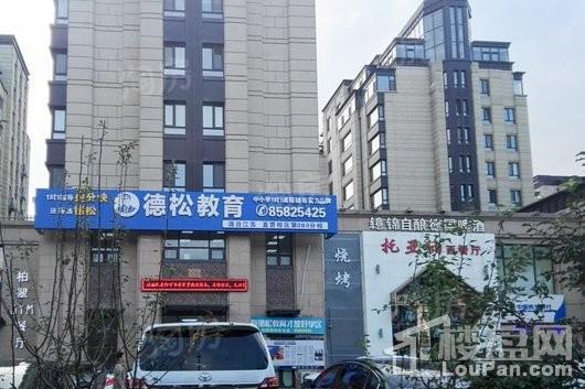 万科柏翠园实景图